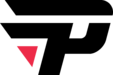 paiN Gaming logo